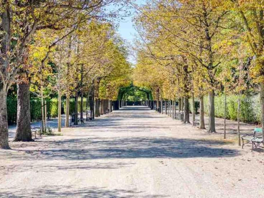 Center Apt In Best Area Near Park & Danube 20'To Airport Apartamento Viena Exterior foto